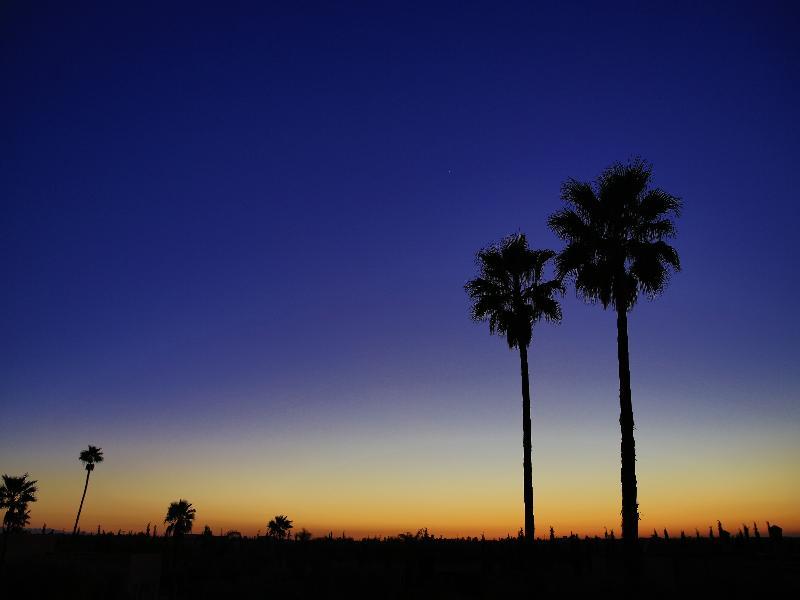 The Source Hotel Music & Spa (Adults Only) Marrakesh Buitenkant foto